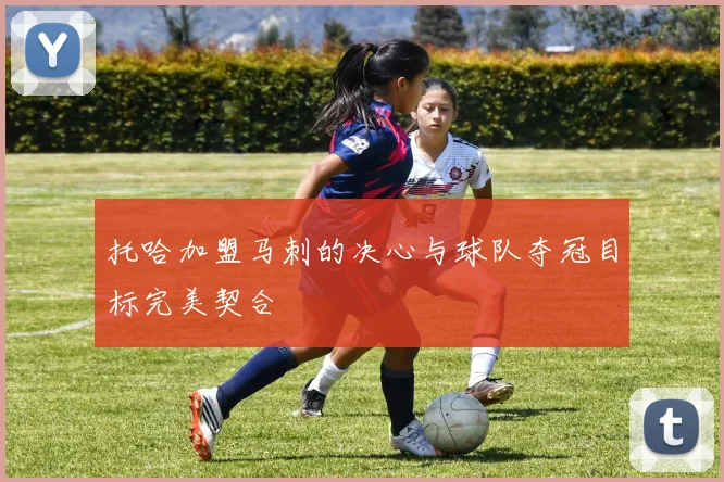 托哈加盟马刺的决心与球队夺冠目标完美契合