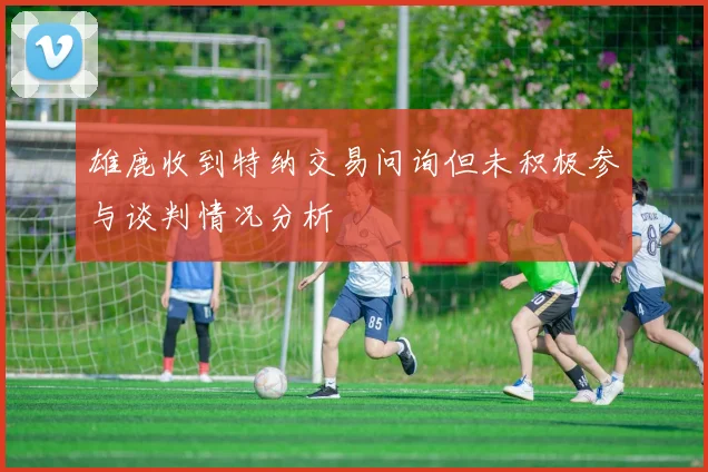雄鹿收到特纳交易问询但未积极参与谈判情况分析
