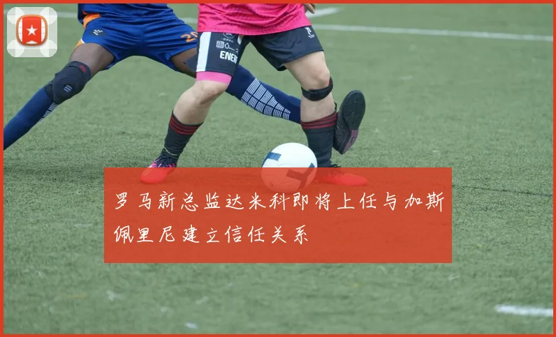 罗马新总监达米科即将上任与加斯佩里尼建立信任关系